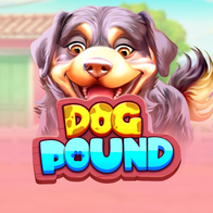 Dog Pound